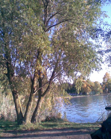 p-08-010.jpg